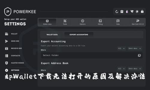 tpWallet下载无法打开的原因及解决办法