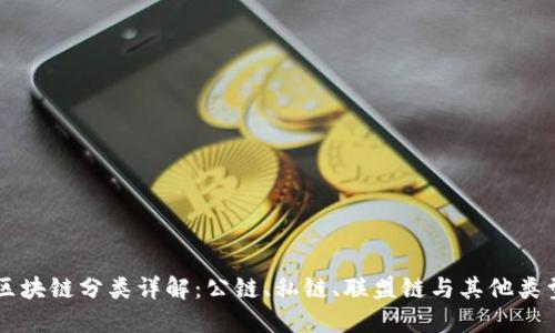 区块链分类详解：公链、私链、联盟链与其他类型