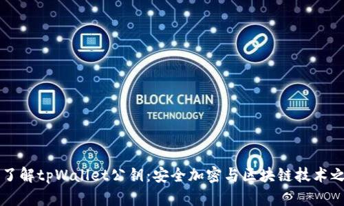 深入了解tpWallet公钥:安全加密与区块链技术之未来