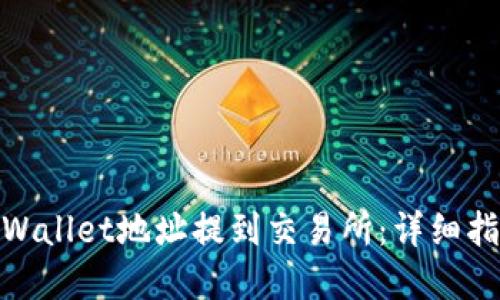 如何将tpWallet地址提到交易所：详细指南与步骤