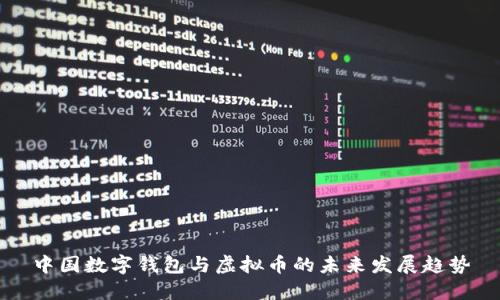 中国数字钱包与虚拟币的未来发展趋势
