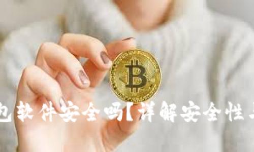 虚拟币钱包软件安全吗？详解安全性与使用指南