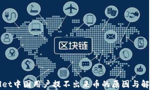
tpWallet中国用户提不出来币的原因与解决方案