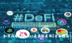 如何判断tpWallet是真还是假？全面指南