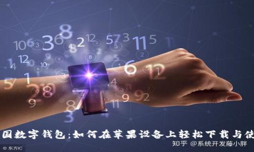 中国数字钱包：如何在苹果设备上轻松下载与使用