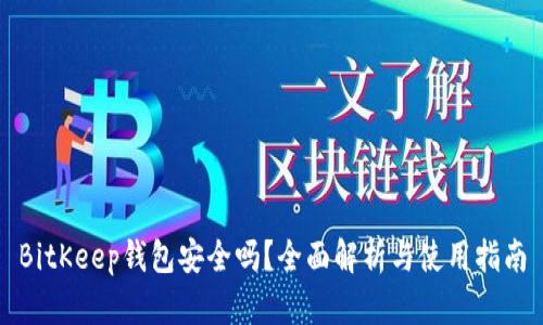 BitKeep钱包安全吗?全面解析与使用指南