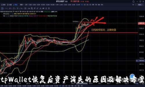 tpWallet恢复后资产消失的原因及解决方案
