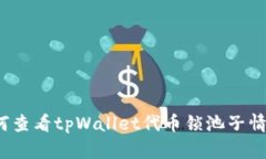 如何查看tpWallet代币锁池子情况？