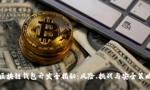 区块链钱包开发全揭秘：风险、挑战与安全策略