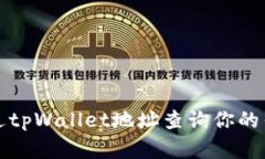 如何通过tpWallet地址查询你的钱包资产