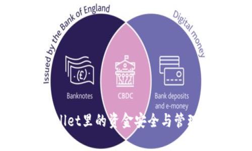 tpWallet里的资金安全与管理指南