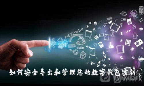 如何安全导出和管理您的数字钱包密钥