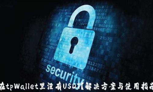 在tpWallet里没有USDT?解决方案与使用指南