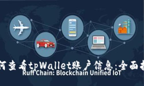 如何查看tpWallet账户信息:全面指南