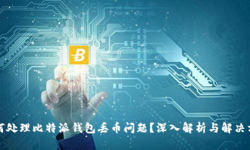如何处理比特派钱包丢币问题？深入解析与解决方案