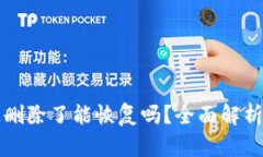 tpWallet被删除了能恢复吗？全面解析与