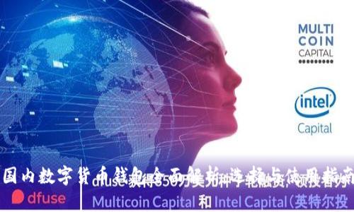 国内数字货币钱包全面解析:选择与使用指南