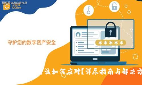 TP冷钱包丢失后该如何应对?详尽指南与解决方案