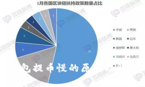 虚拟货币钱包提币慢的原因及解决方案解析
