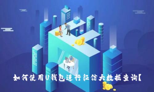 如何使用U钱包进行征信大数据查询?