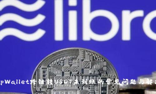 解决tpWallet跨链转USDT未到账的常见问题与解决方案