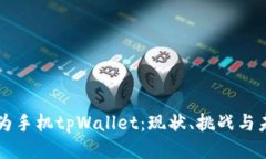 华为手机tpWallet：现状、挑战与未来