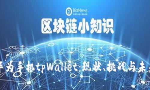 华为手机tpWallet：现状、挑战与未来