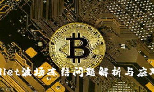 tpWallet波场冻结问题解析与应对措施