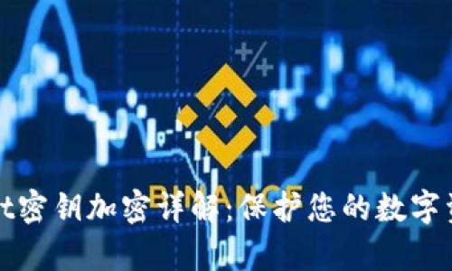 tpWallet密钥加密详解:保护您的数字资产安全