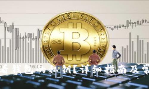 如何查看钱包的私钥?详细指南及常见问题
