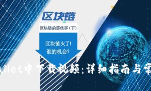 如何在tpWallet中下载视频：详细指南与常见问题解答