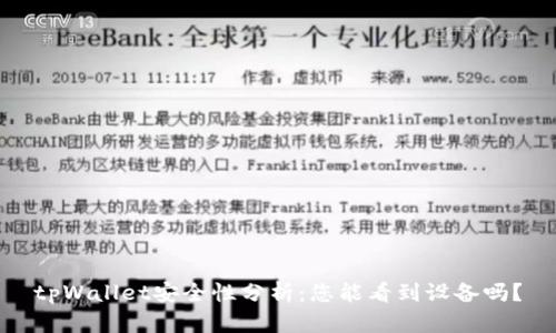 tpWallet安全性分析:您能看到设备吗?