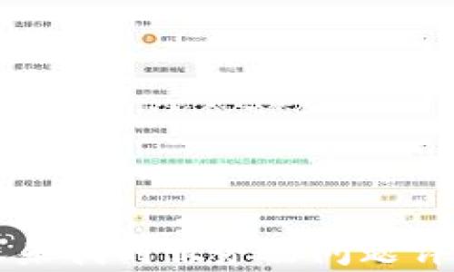 tpWallet转账未找到服务器问题详解与解决方案
