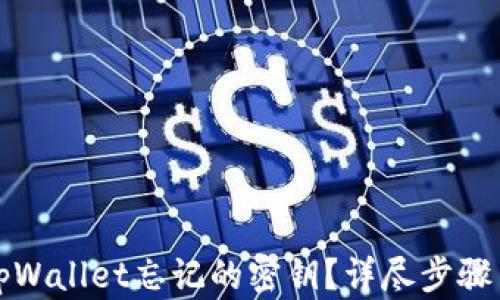 如何找回tpWallet忘记的密钥?详尽步骤与解决方案