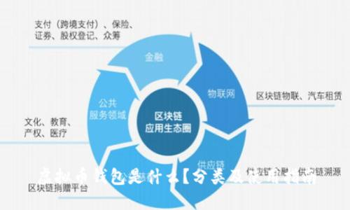 虚拟币钱包是什么?分类及使用指南