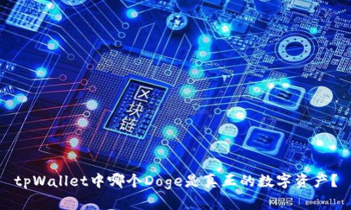 tpWallet中哪个Doge是真正的数字资产？