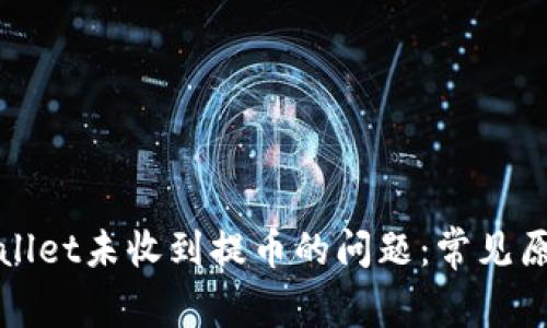 如何解决tpWallet未收到提币的问题:常见原因及解决方案