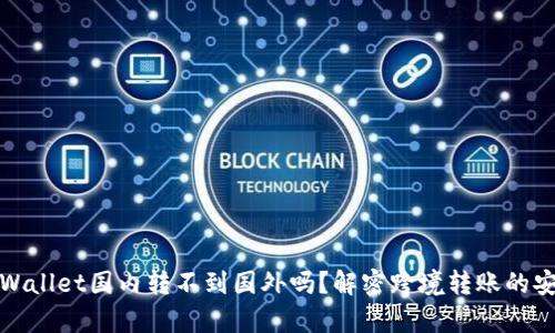 ### tpWallet国内转不到国外吗?解密跨境转账的安全与便捷