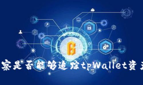 警察是否能够追踪tpWallet资产?