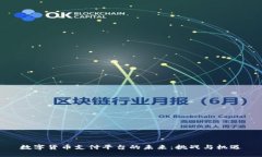 数字货币支付平台的未来：挑战与机遇