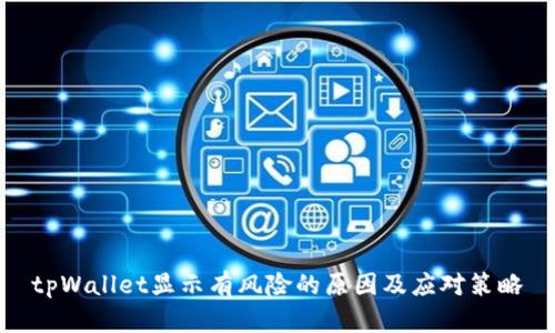 tpWallet显示有风险的原因及应对策略