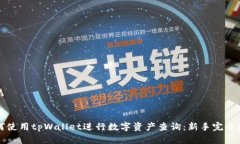 如何使用tpWallet进行数字资产查询：新