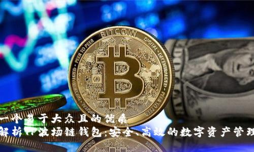 思考一个易于大众且的优质
全面解析TP波场链钱包：安全、高效的数字资产管理工具