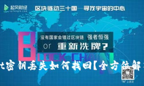 tpWallet密钥丢失如何找回？全方位解答与指南