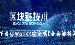 华为电话下载tpWallet安全吗？全面解析