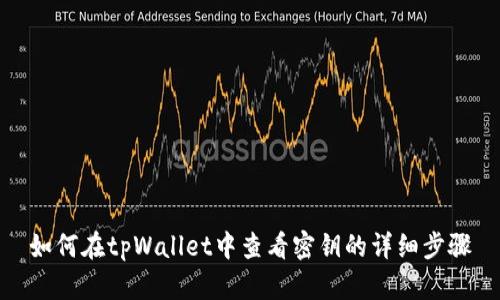 如何在tpWallet中查看密钥的详细步骤