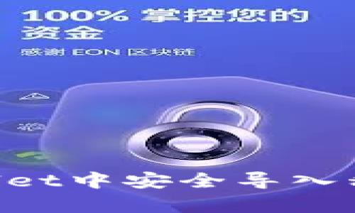 如何在tpWallet中安全导入私钥:完整指南