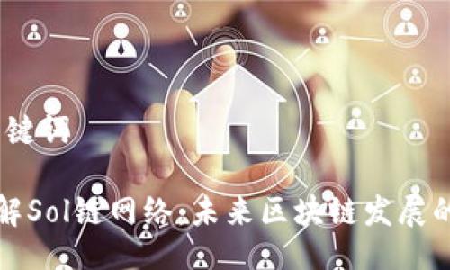 # 及关键词
深入了解Sol链网络:未来区块链发展的新方向
