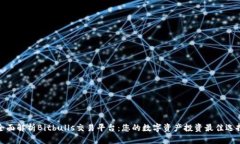全面解析Bitbulls交易平台：您的数字资