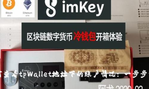 如何查看tpWallet地址下的账户情况: 一步步详解